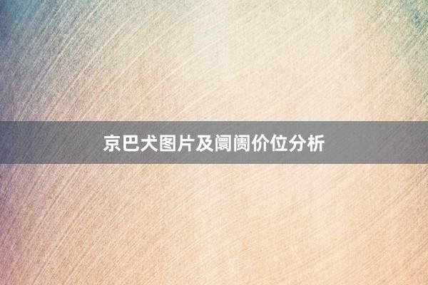 京巴犬图片及阛阓价位分析